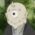 アバター画像