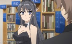 青春ブタ野郎はバニーガール先輩の夢を見ない